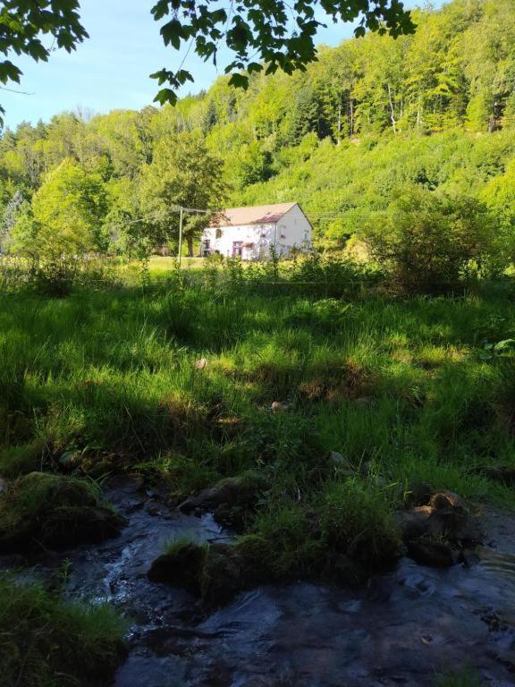 Le Logis Aux Digitales Apartment La Croix-aux-Mines Екстериор снимка