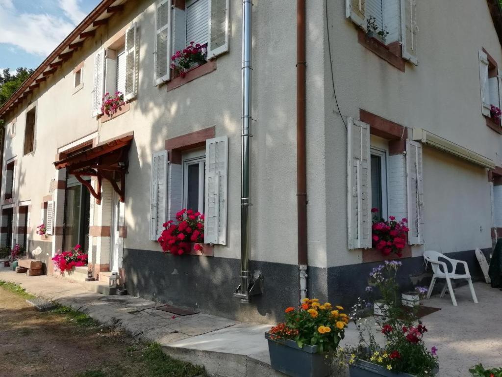 Le Logis Aux Digitales Apartment La Croix-aux-Mines Екстериор снимка