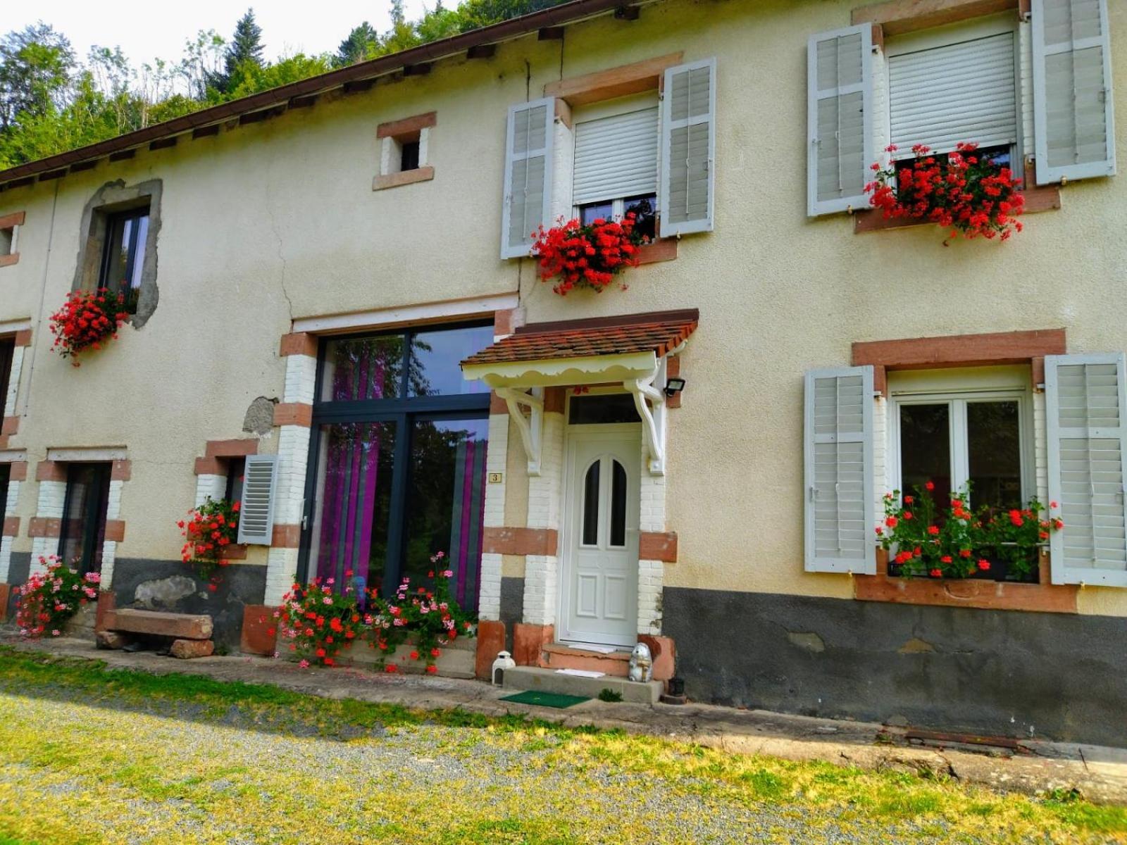 Le Logis Aux Digitales Apartment La Croix-aux-Mines Екстериор снимка