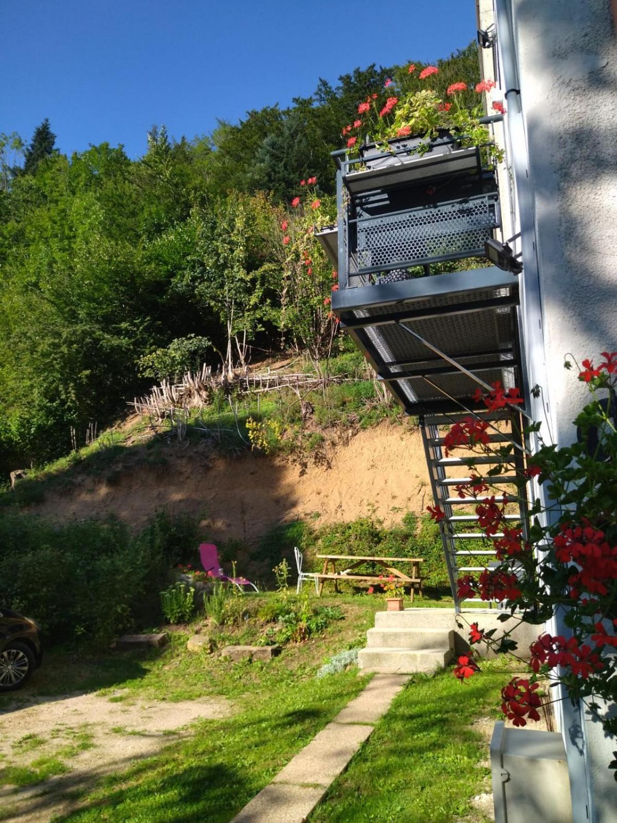 Le Logis Aux Digitales Apartment La Croix-aux-Mines Екстериор снимка